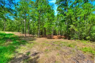 6566 Parkside, Brookeland, TX 75931 - Photo 10