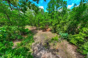 6566 Parkside, Brookeland, TX 75931 - Photo 14