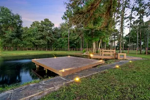 25518 Decker Prairie-Rosehill Rd, Magnolia, TX 77355 - Photo 44