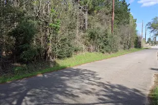 25450 Decker Prairie-Rosehill Rd, Magnolia, TX 77355 - Photo 2