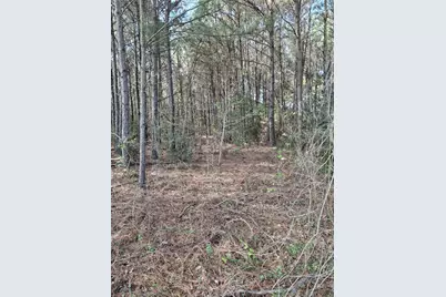 25450 Decker Prairie Rosehill Road, Magnolia, TX 77355 - Photo 6