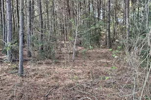 25450 Decker Prairie-Rosehill Rd, Magnolia, TX 77355 - Photo 6