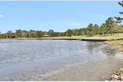 10721 Ruger Road, Willis, TX 77378 - Photo 14