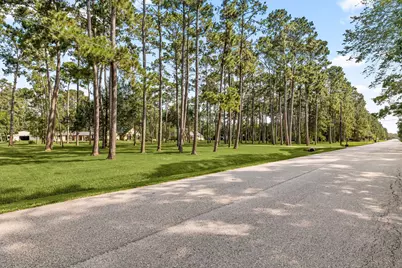 7302 Pine Drive, Alvin, TX 77511 - Photo 2
