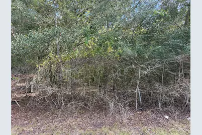 00 Bayou Drive, Danbury, TX 77534 - Photo 2