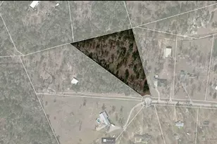 25865 Hickory Knoll Ct, Cleveland, TX 77328 - Photo 30