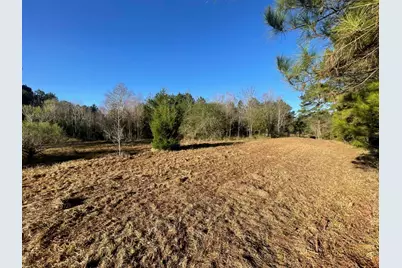 Lot 1 E Fm 942, Camden, TX 75934 - Photo 24