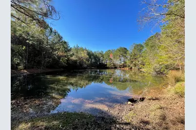 Lot 1 E Fm 942, Camden, TX 75934 - Photo 1