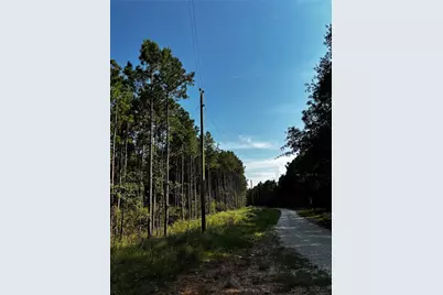 0000 Motely Way, Lovelady, TX 75851 - Photo 10