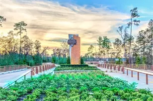 114 Neches Nook Ct, Conroe, TX 77304 - Photo 34