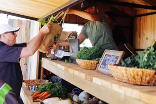 3219 Key Lime Dr, Richmond, TX 77406 - Photo 12