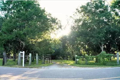 6114 County Road 42, Rosharon, TX 77583 - Photo 8