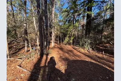 345 Sumac Drive, Brookeland, TX 75931 - Photo 2