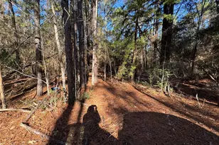 345 Sumac Dr, Brookeland, TX 75931 - Photo 2