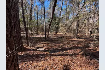 345 Sumac Drive, Brookeland, TX 75931 - Photo 6