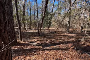 345 Sumac Dr, Brookeland, TX 75931 - Photo 6