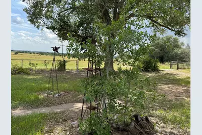 4317 Fm 955, Fayetteville, TX 78940 - Photo 20