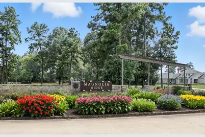 379 Jewett Meadow Drive, Magnolia, TX 77354 - Photo 18