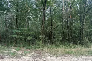 2103 Jenkins Rd, Coldspring, TX 77331 - Photo 2