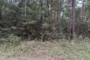 2103 Jenkins Rd, Coldspring, TX 77331 - Photo 20