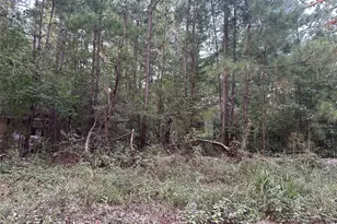 2103 Jenkins Rd, Coldspring, TX 77331 - Photo 14