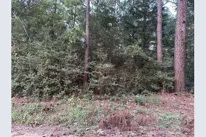 2103 Jenkins Road, Coldspring, TX 77331 - Photo 18