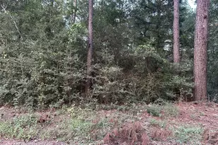 2103 Jenkins Rd, Coldspring, TX 77331 - Photo 18