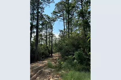 565 Sparkleberry Drive, Brookeland, TX 75931 - Photo 2