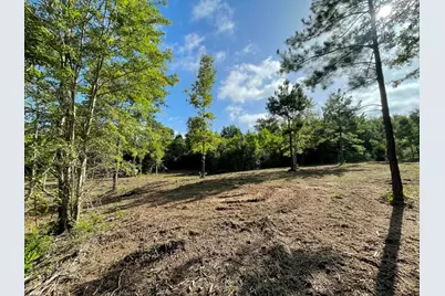 Lot 5 E Fm 942, Livingston, TX 77351 - Photo 6