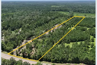 Lot 5 E Fm 942, Livingston, TX 77351 - Photo 12