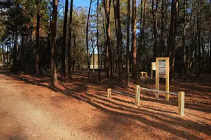 18023 Brennie Bird, Conroe, TX 77302 - Photo 28