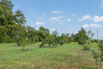 7910 Cr-628, Brazoria, TX 77422 - Photo 6