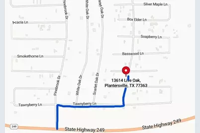 13614 Live Oak, Plantersville, TX 77363 - Photo 4