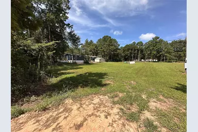 13614 Live Oak, Plantersville, TX 77363 - Photo 2