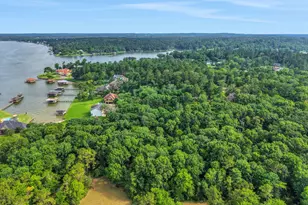 231 Ridge Cove Ln, Coldspring, TX 77331 - Photo 44