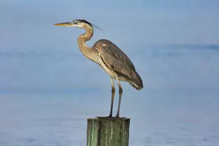 1225 Private Rd 652, Sargent, TX 77414 - Photo 6