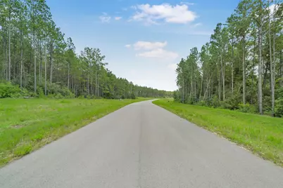 11991 High Branch Way, Willis, TX 77378 - Photo 2