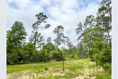 000 Fm 2937, Silsbee, TX 77656 - Photo 6