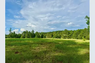Lot 344 Lakeland Ranch, Hillister, TX 77624 - Photo 4