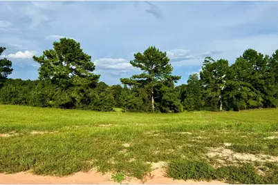 Lot 344 Lakeland Ranch, Hillister, TX 77624 - Photo 6