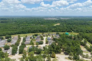 24019 Kingbriar Dr, Spring, TX 77373 - Photo 44