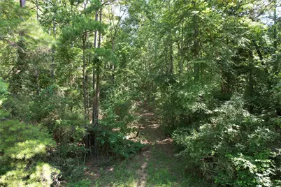 000 County Road 2240, Grapeland, TX 75844 - Photo 4