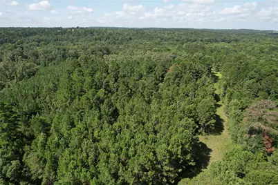 000 County Road 2240, Grapeland, TX 75844 - Photo 14