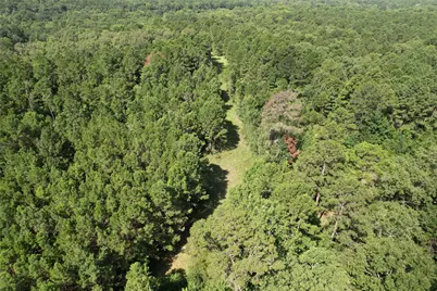 000 County Road 2240, Grapeland, TX 75844 - Photo 12