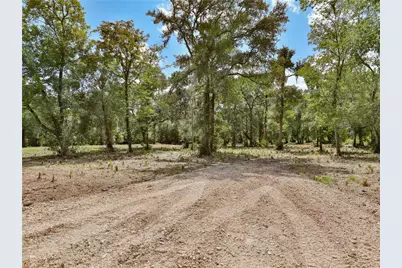 2301 Cr 851, Brazoria, TX 77422 - Photo 2