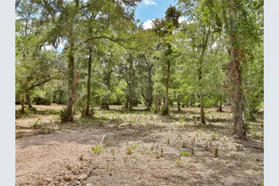 2301 Cr 851, Brazoria, TX 77422 - Photo 4