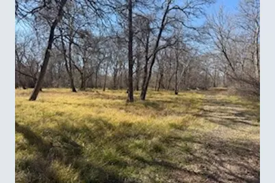 14860 Laguna Vista Drive, Needville, TX 77461 - Photo 4