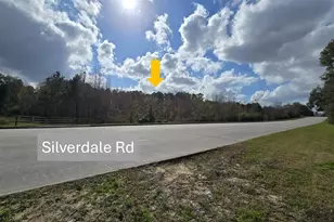 1151 Silverdale St, Conroe, TX 77301 - Photo 4