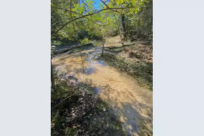 485 Private Road 6142, Grapeland, TX 75844 - Photo 10