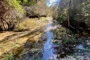 485 Private Rd 6142, Grapeland, TX 75844 - Photo 1